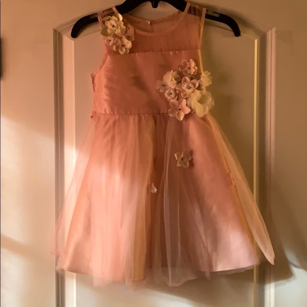 Rare Editions dress